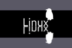 Cómo acelerar Linux 5 ¿Cómo acelerar Linux?