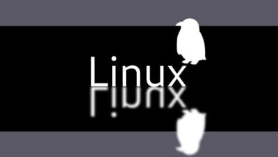 ¿Cómo acelerar Linux?